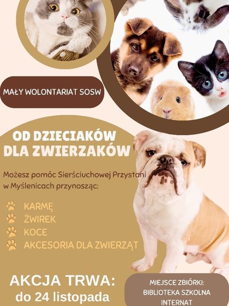 Plakat przedstawia informacje związane ze zbiórka na bezdomne zwierzęta.
